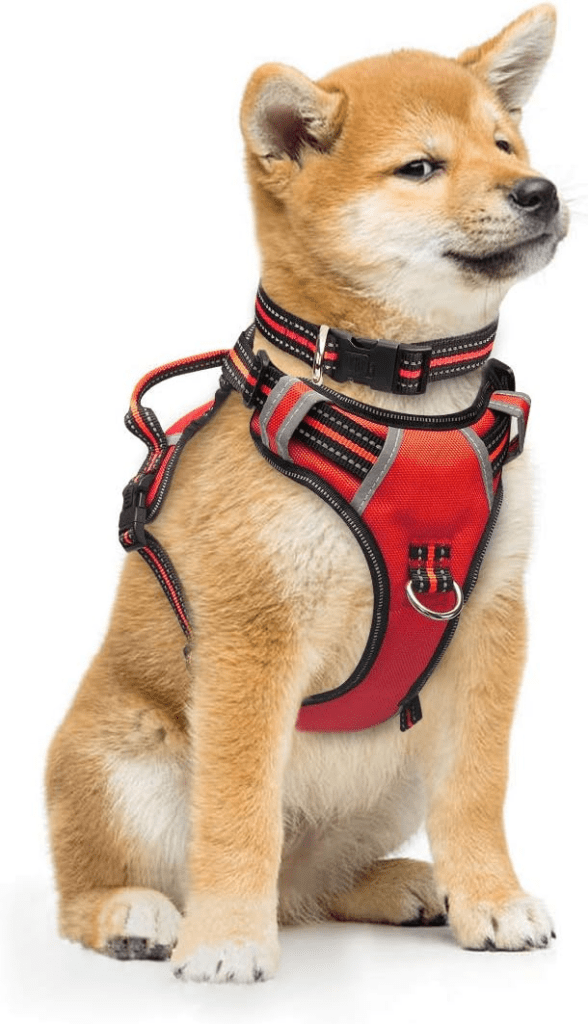 WINSEE No-Pull Harness
